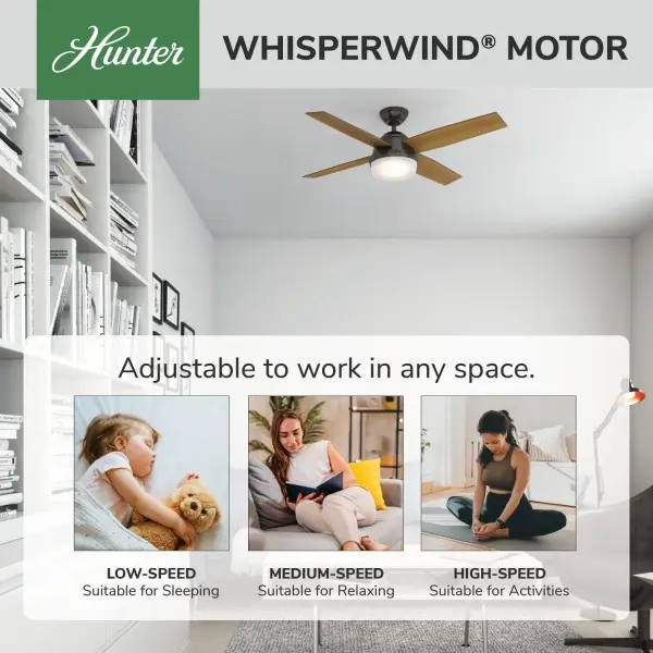 Dempsey with Light 52 inch - Image 86