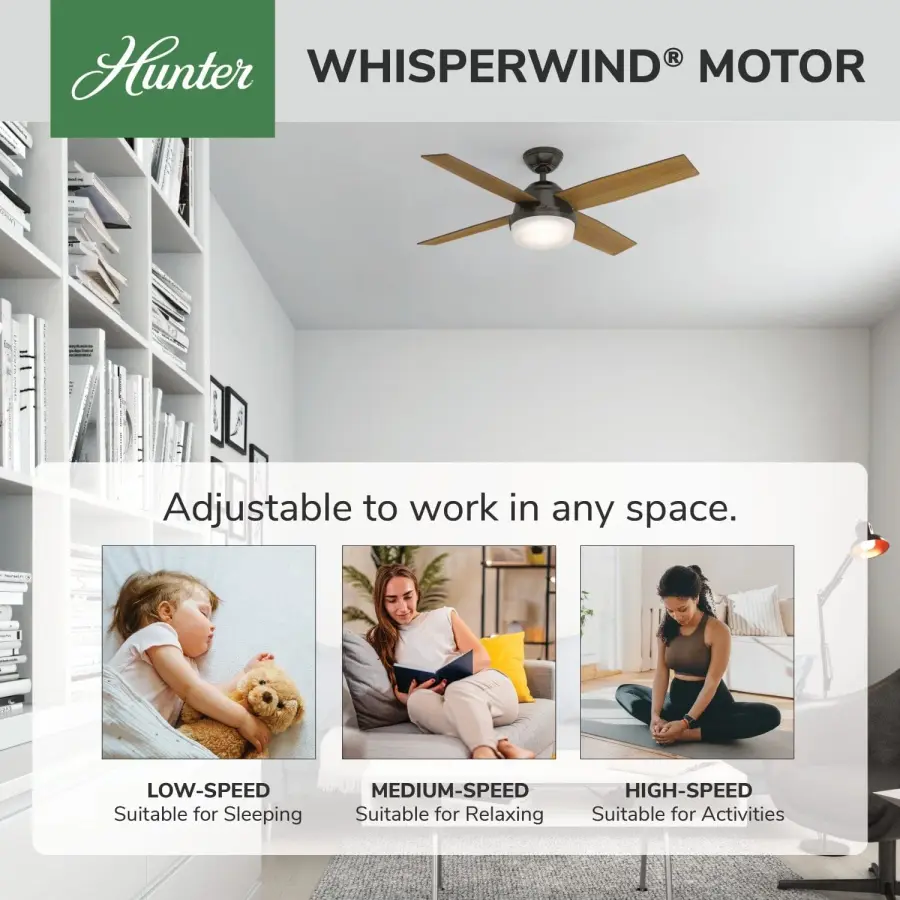 Dempsey with Light 52 inch - Image 86