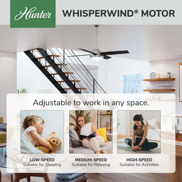 Dempsey with Light 52 inch - Image 87