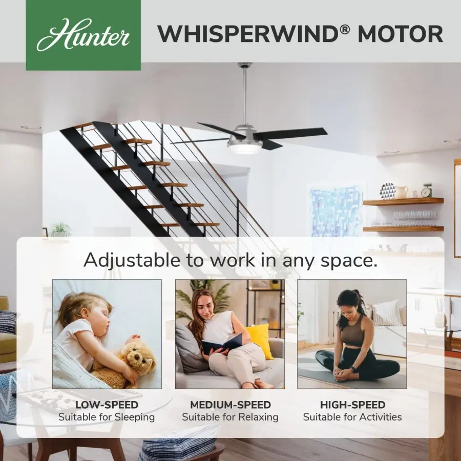 Dempsey with Light 52 inch - Image 87