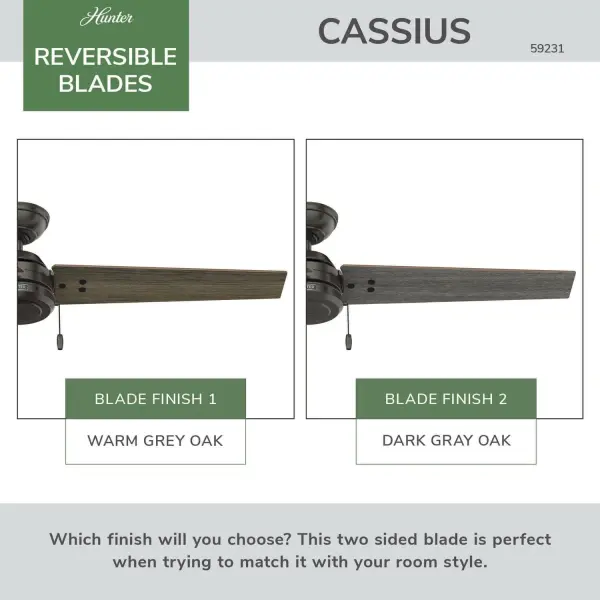 Cassius 52" Ceiling Fan in Matte Silver - Image 99