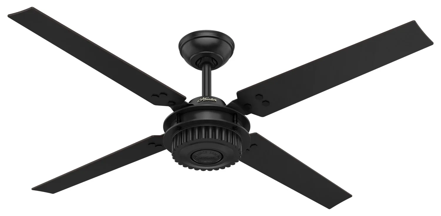 Chronicle 54"Ceiling Fan