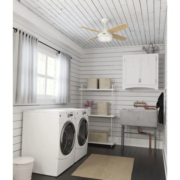 Dempsey with Light 44 inch - Image 20