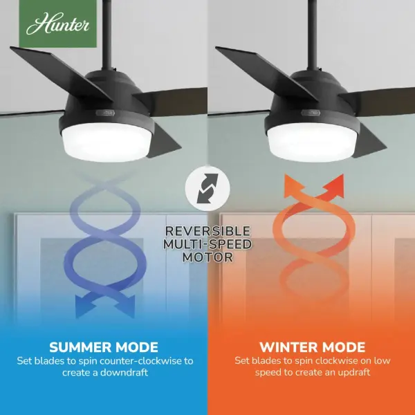 Dempsey with Light 44 inch - Image 22