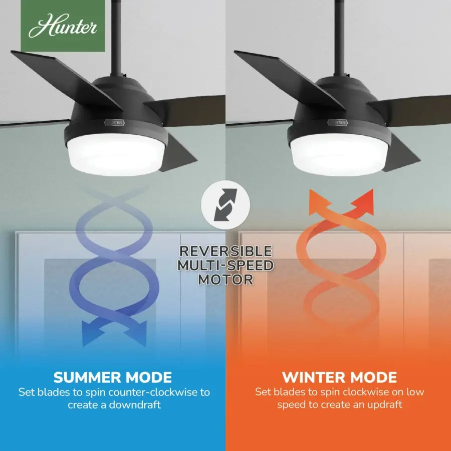 Dempsey with Light 44 inch - Image 22