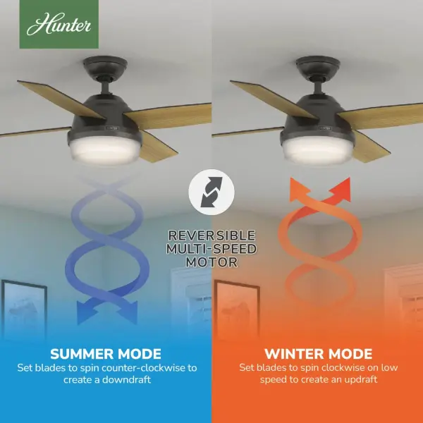 Dempsey with Light 44 inch - Image 23