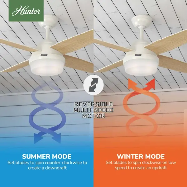 Dempsey with Light 44 inch - Image 24