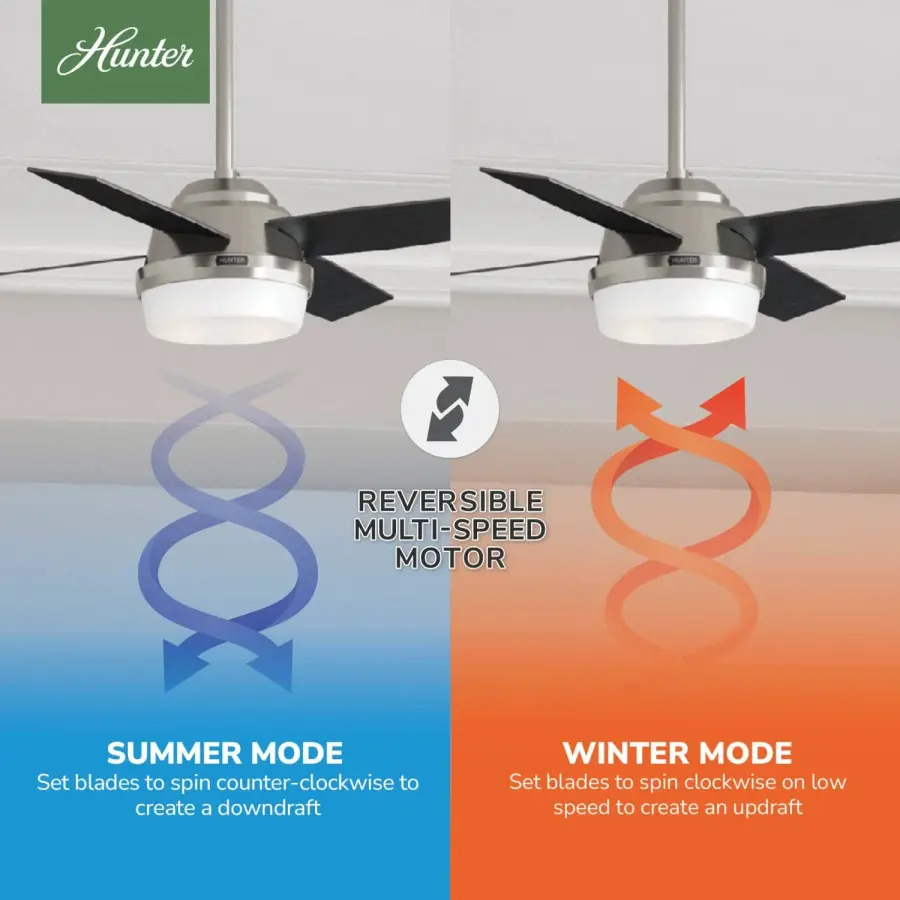 Dempsey with Light 44 inch - Image 25