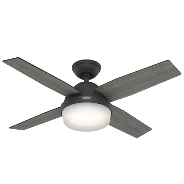 Dempsey with Light 44 inch - Image 5