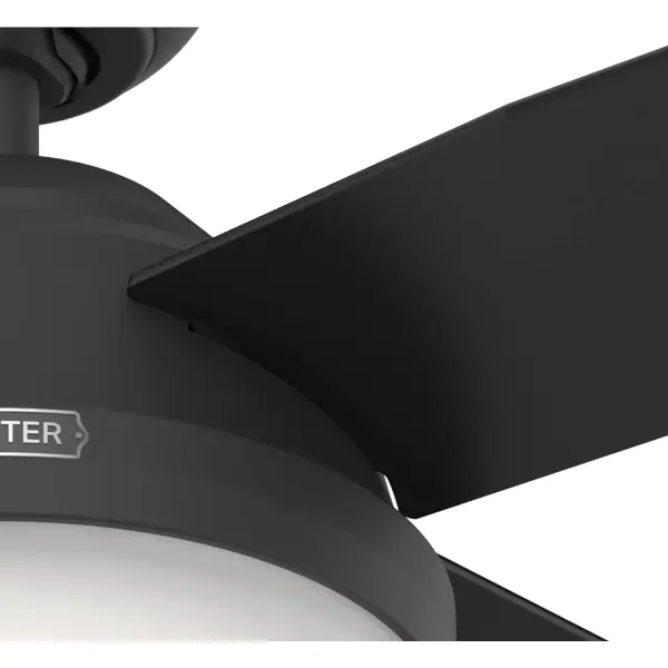 Dempsey with Light 44 inch - Image 42