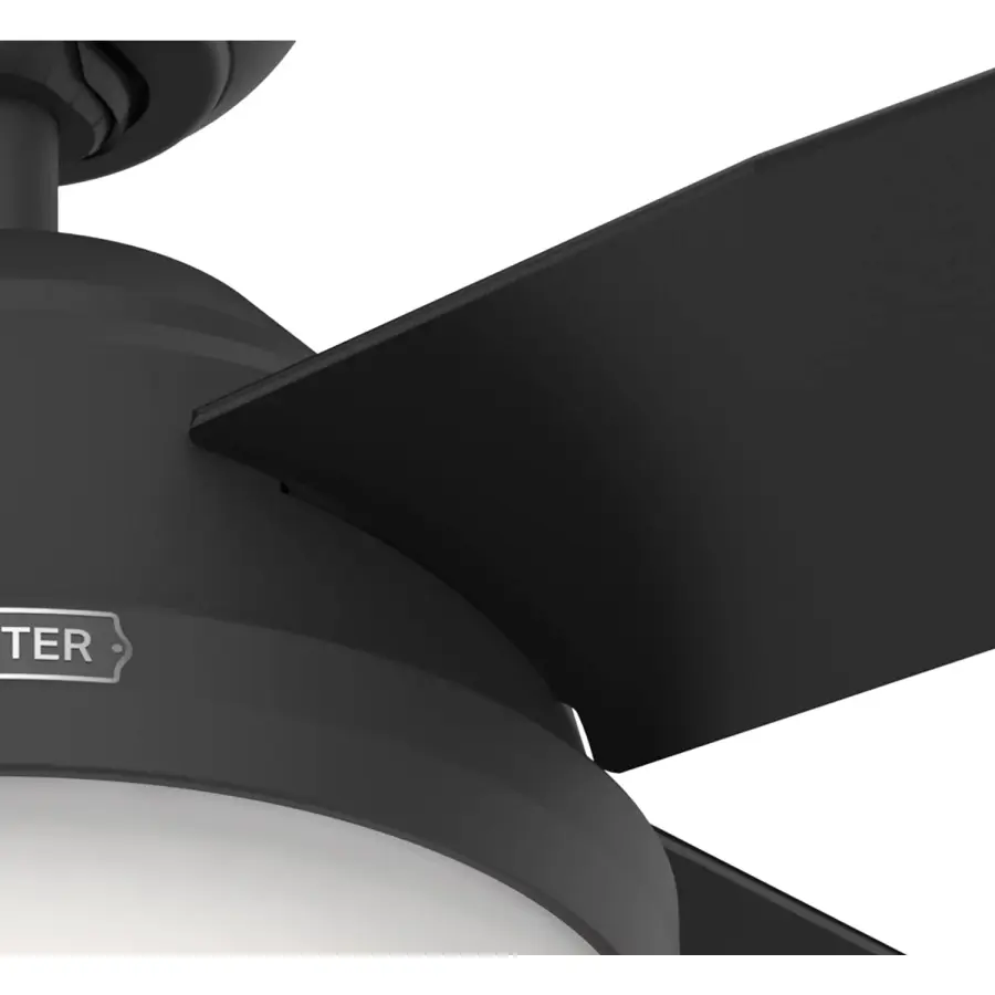 Dempsey with Light 44 inch - Image 42