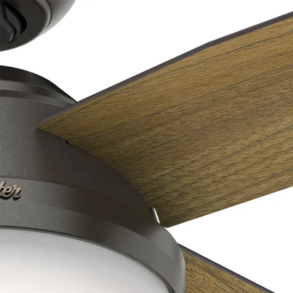 Dempsey with Light 44 inch - Image 43