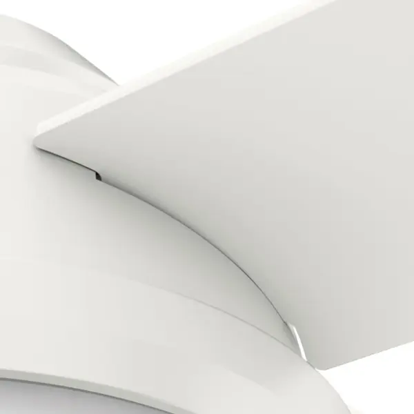 Dempsey with Light 44 inch - Image 44