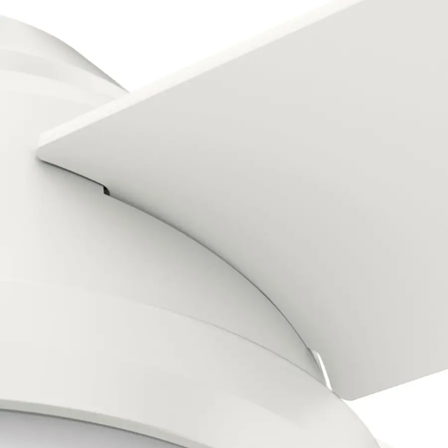 Dempsey with Light 44 inch - Image 44