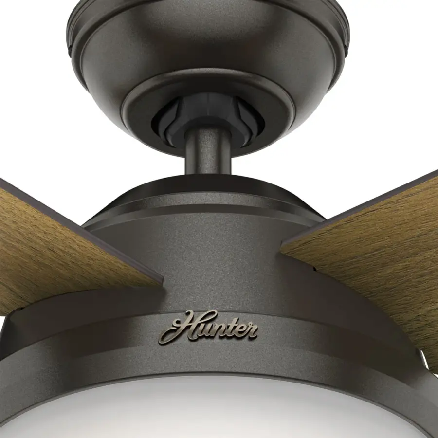 Dempsey with Light 44 inch - Image 47