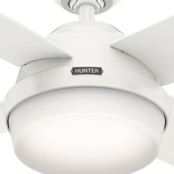 Dempsey with Light 44 inch - Image 48