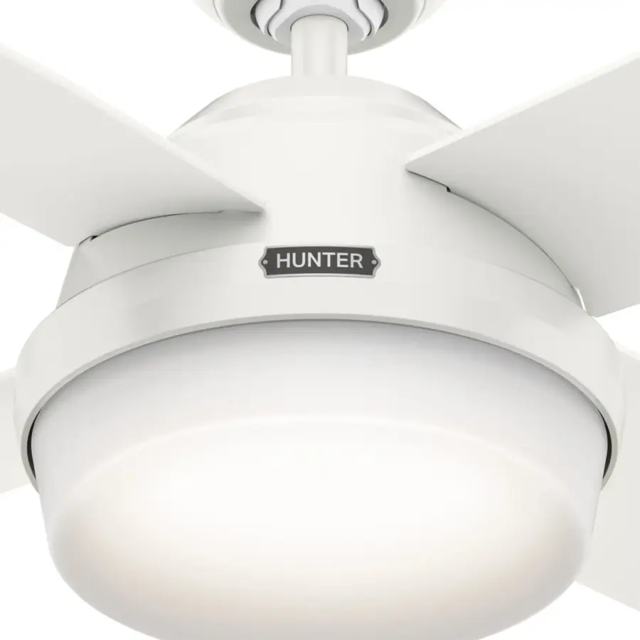 Dempsey with Light 44 inch - Image 48