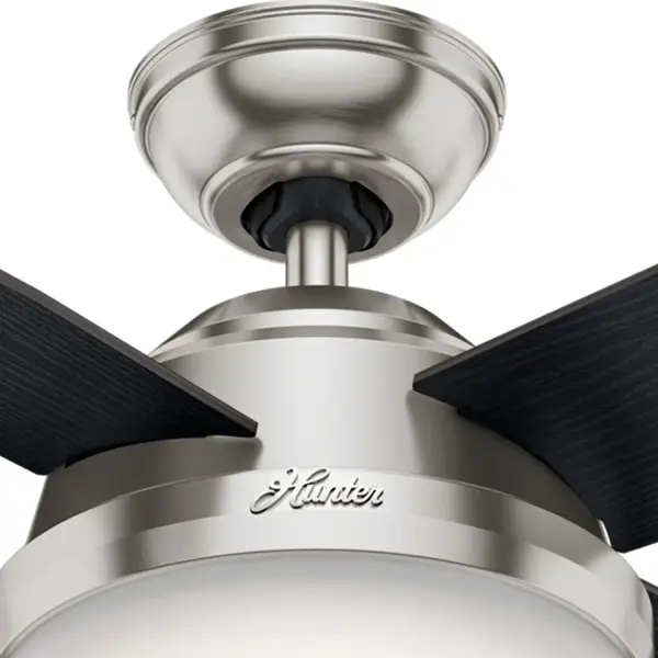 Dempsey with Light 44 inch - Image 49