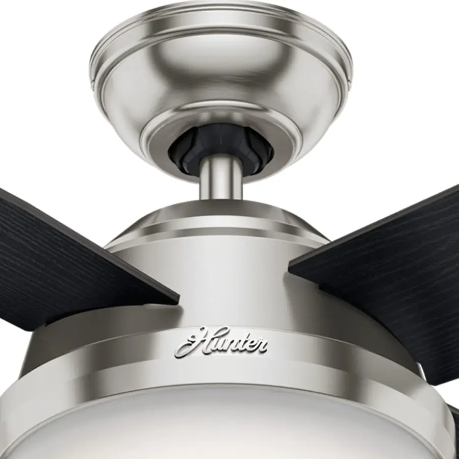 Dempsey with Light 44 inch - Image 49