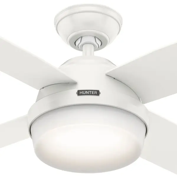 Dempsey with Light 44 inch - Image 52