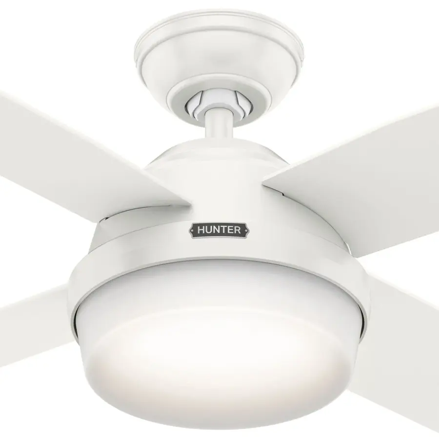 Dempsey with Light 44 inch - Image 52