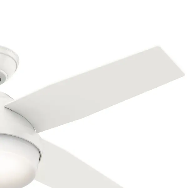 Dempsey with Light 44 inch - Image 56