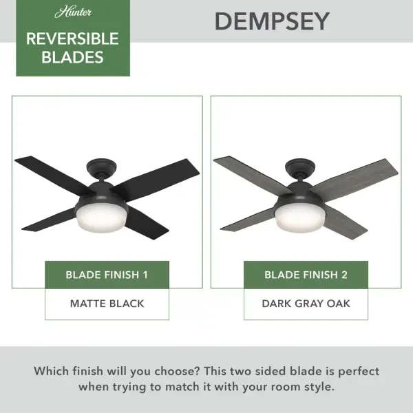 Dempsey with Light 44 inch - Image 61