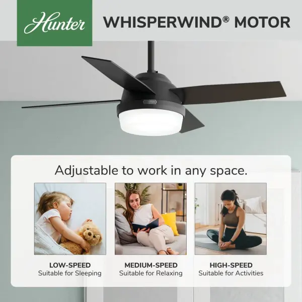 Dempsey with Light 44 inch - Image 64