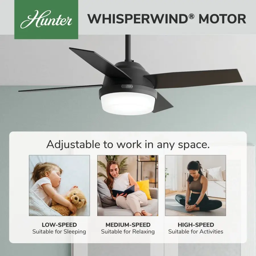 Dempsey with Light 44 inch - Image 64