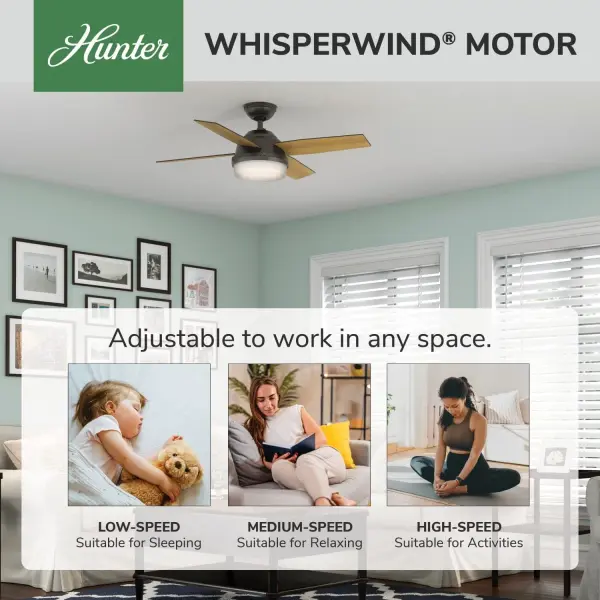 Dempsey with Light 44 inch - Image 65