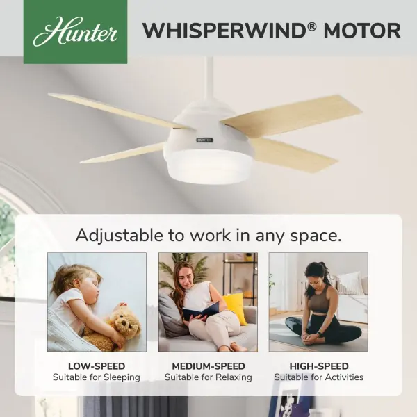 Dempsey with Light 44 inch - Image 66