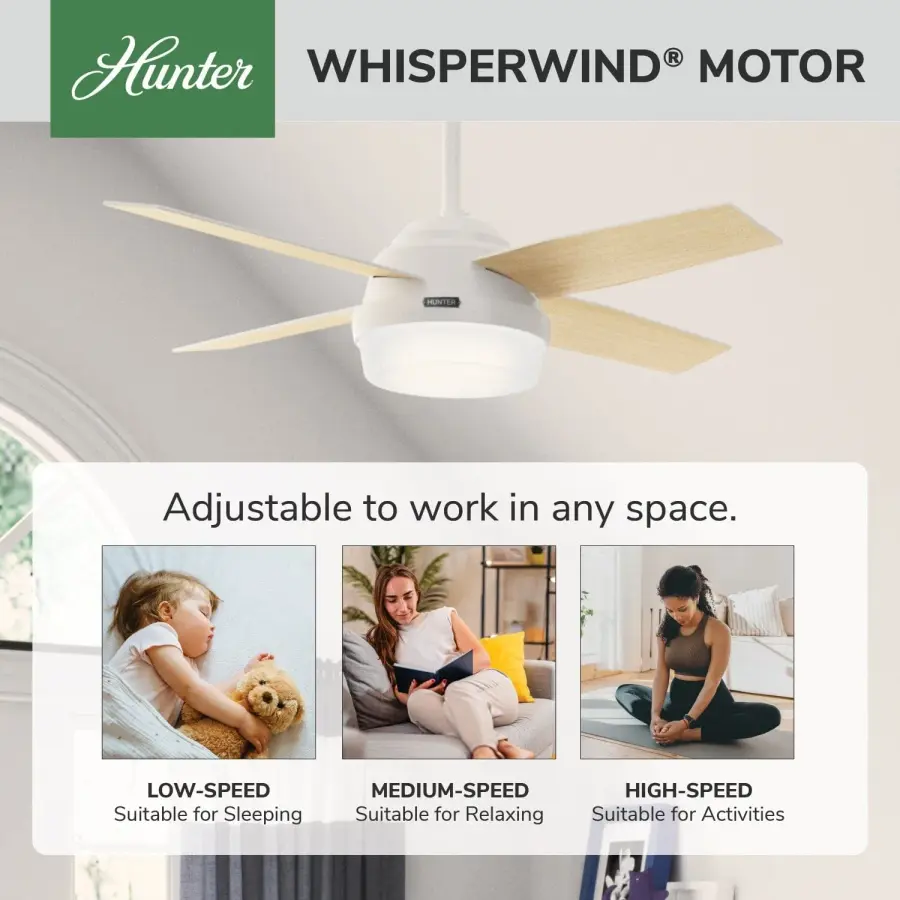 Dempsey with Light 44 inch - Image 66