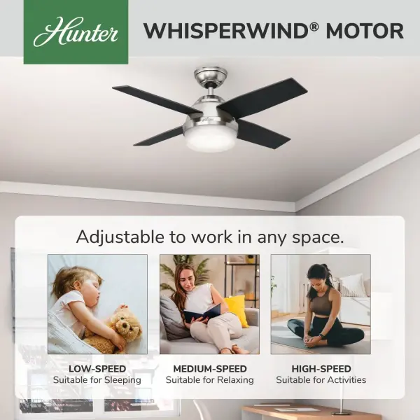 Dempsey with Light 44 inch - Image 67