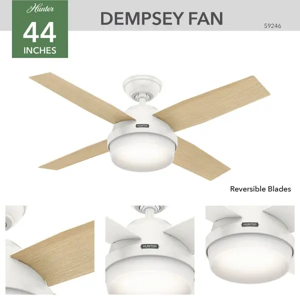 Dempsey with Light 44 inch - Image 10