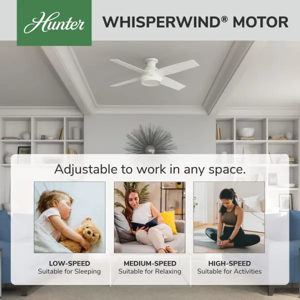 Dempsey Low Profile 52 inch - Image 49