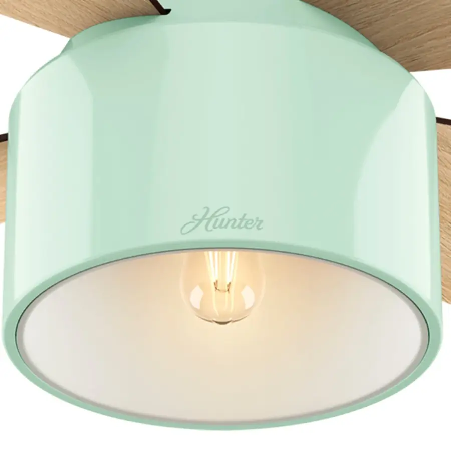 Cranbrook Low Profile with Light 52 inch - Image 20