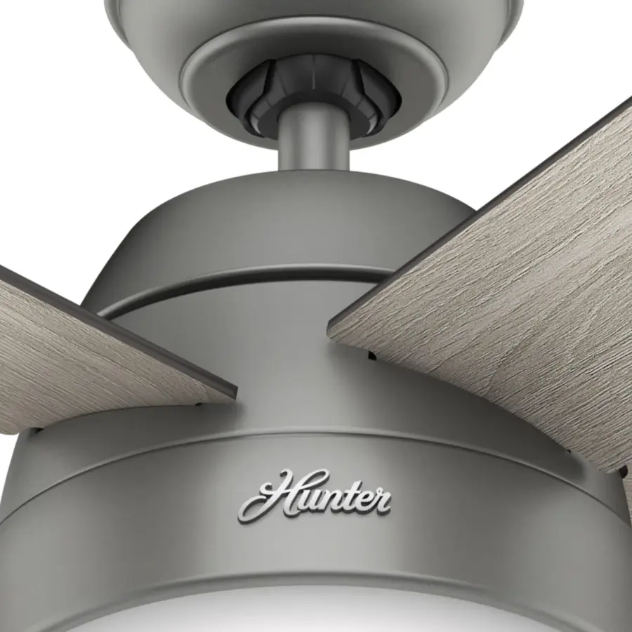 Anslee with LED Light 46 inch - Image 21