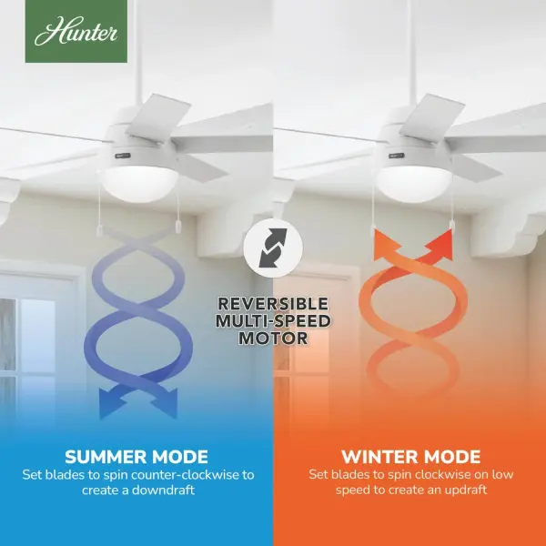 Anslee with LED Light 46 inch - Image 10