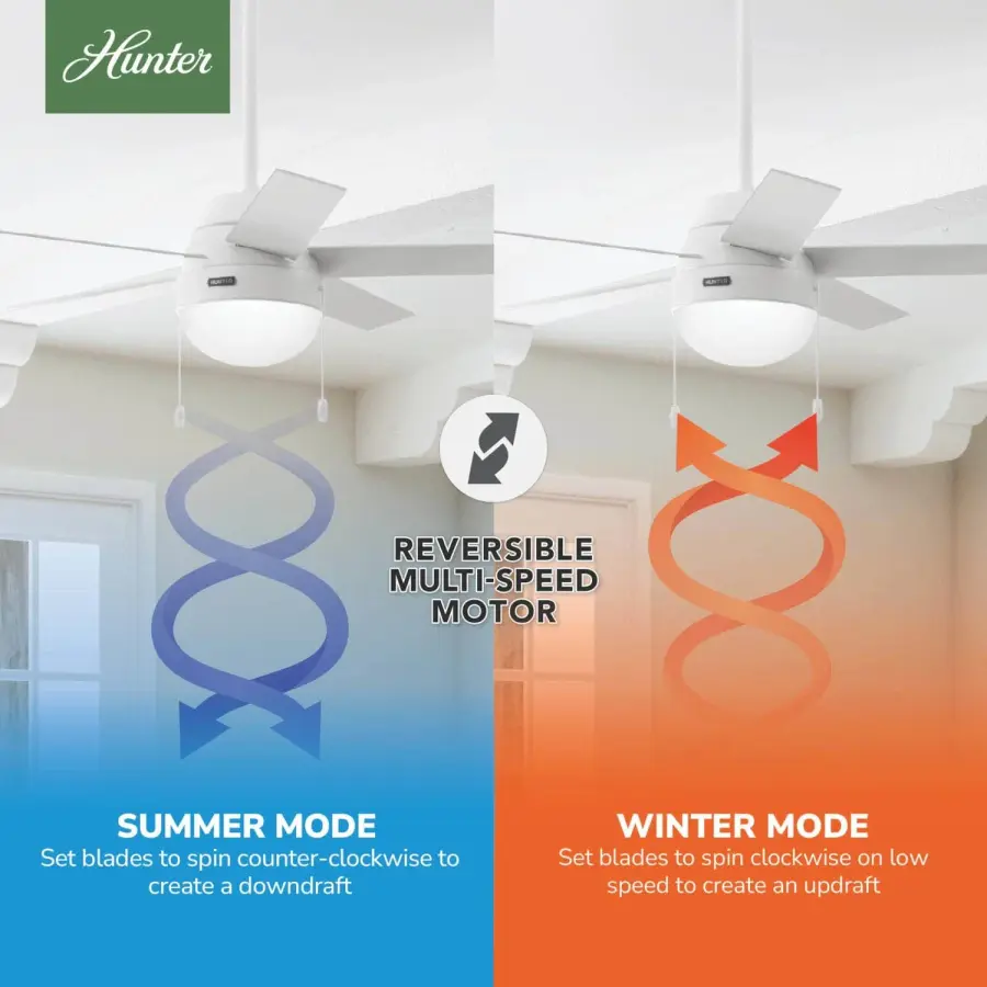 Anslee with LED Light 46 inch - Image 10