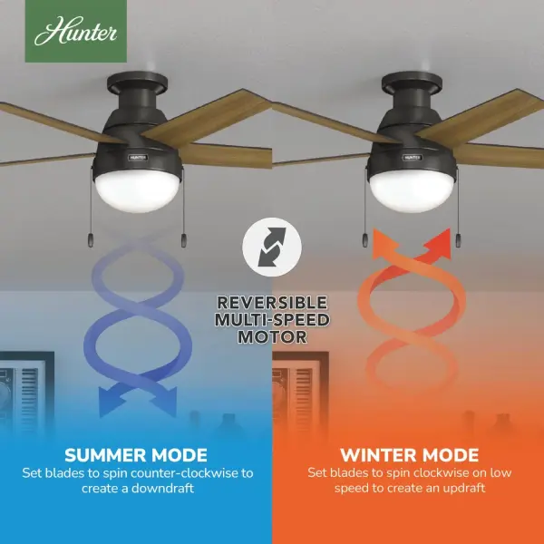 Anslee Low Profile with LED Light 46 inch - Image 22