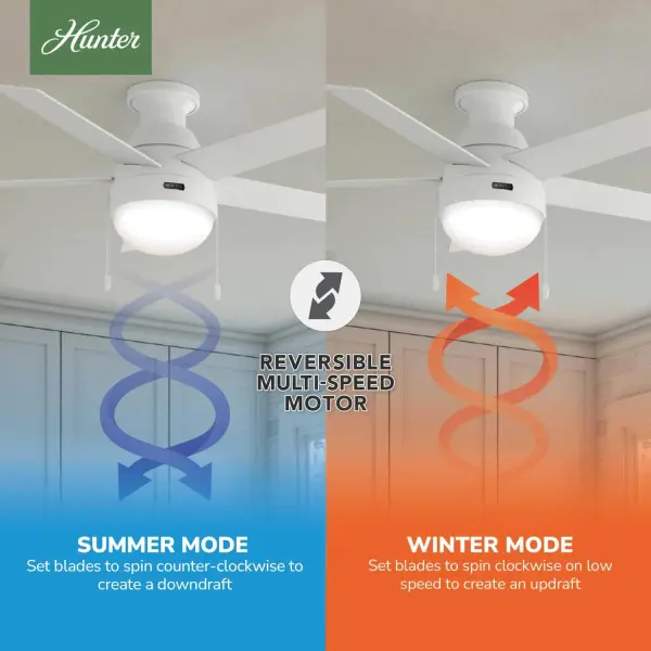 Anslee Low Profile with LED Light 46 inch - Image 23