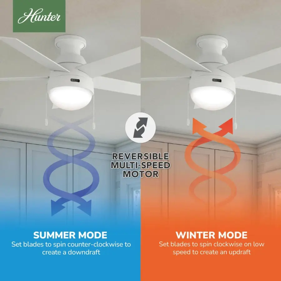 Anslee Low Profile with LED Light 46 inch - Image 23