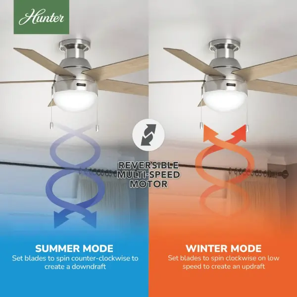 Anslee Low Profile with LED Light 46 inch - Image 24