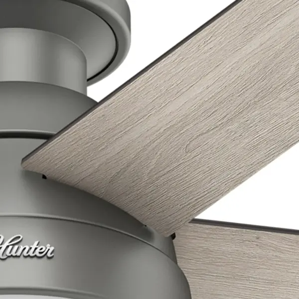 Anslee Low Profile with LED Light 46 inch - Image 41