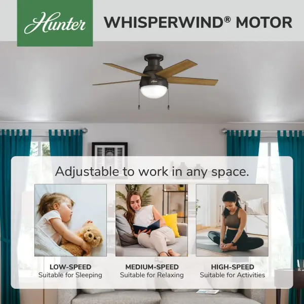 Anslee Low Profile with LED Light 46 inch - Image 62