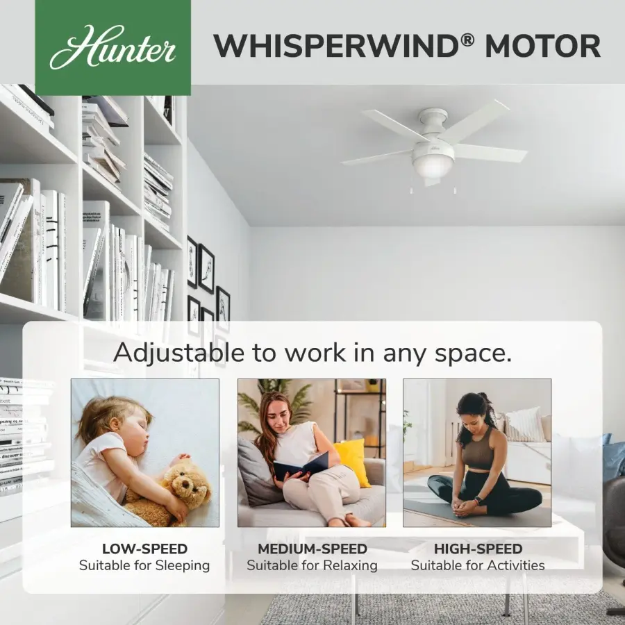 Anslee Low Profile with LED Light 46 inch - Image 63