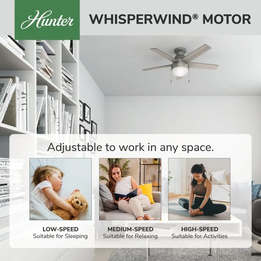 Anslee Low Profile with LED Light 46 inch - Image 65