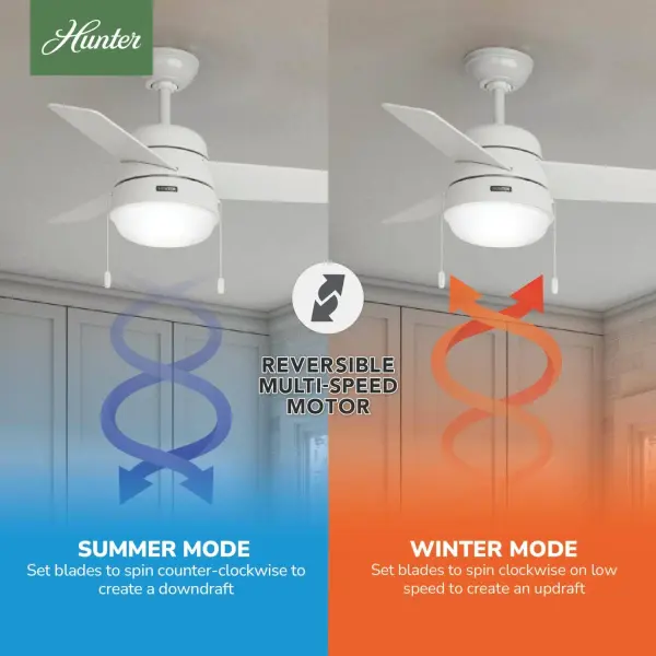 Aker with LED Light 36 inch - Image 14