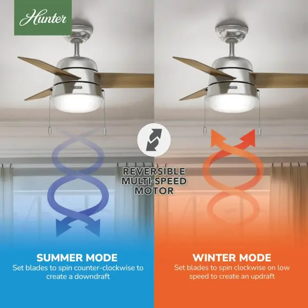 Aker with LED Light 36 inch - Image 15