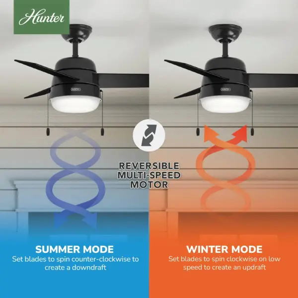 Aker with LED Light 36 inch - Image 16